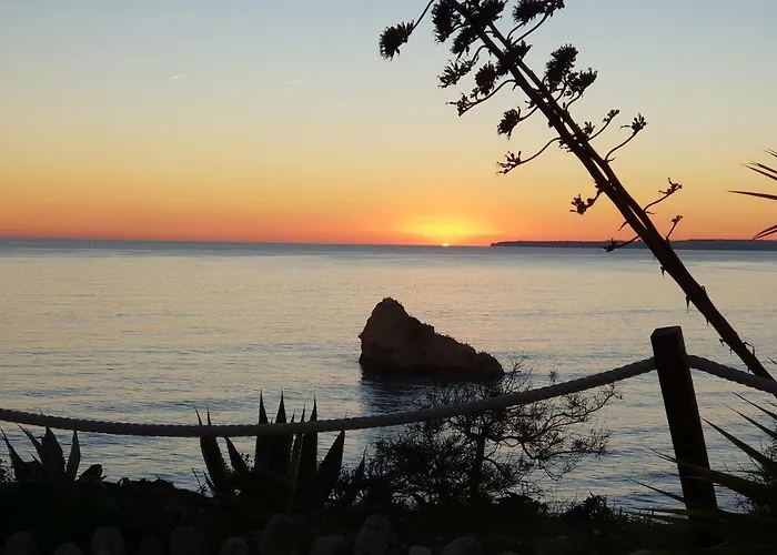 Riomar Da Rocha 아파트 *